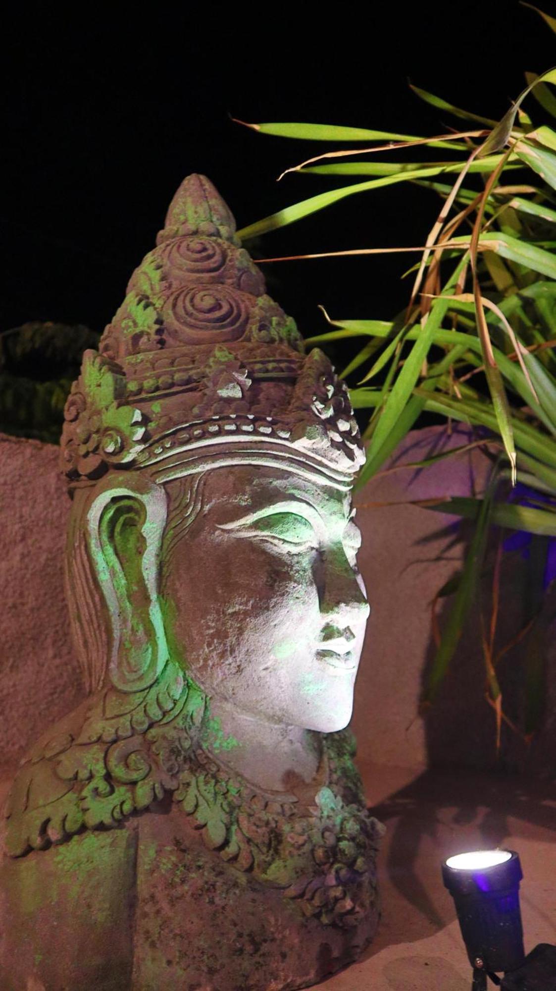 Villa Pranajaya Oasis Tejakula Exterior foto